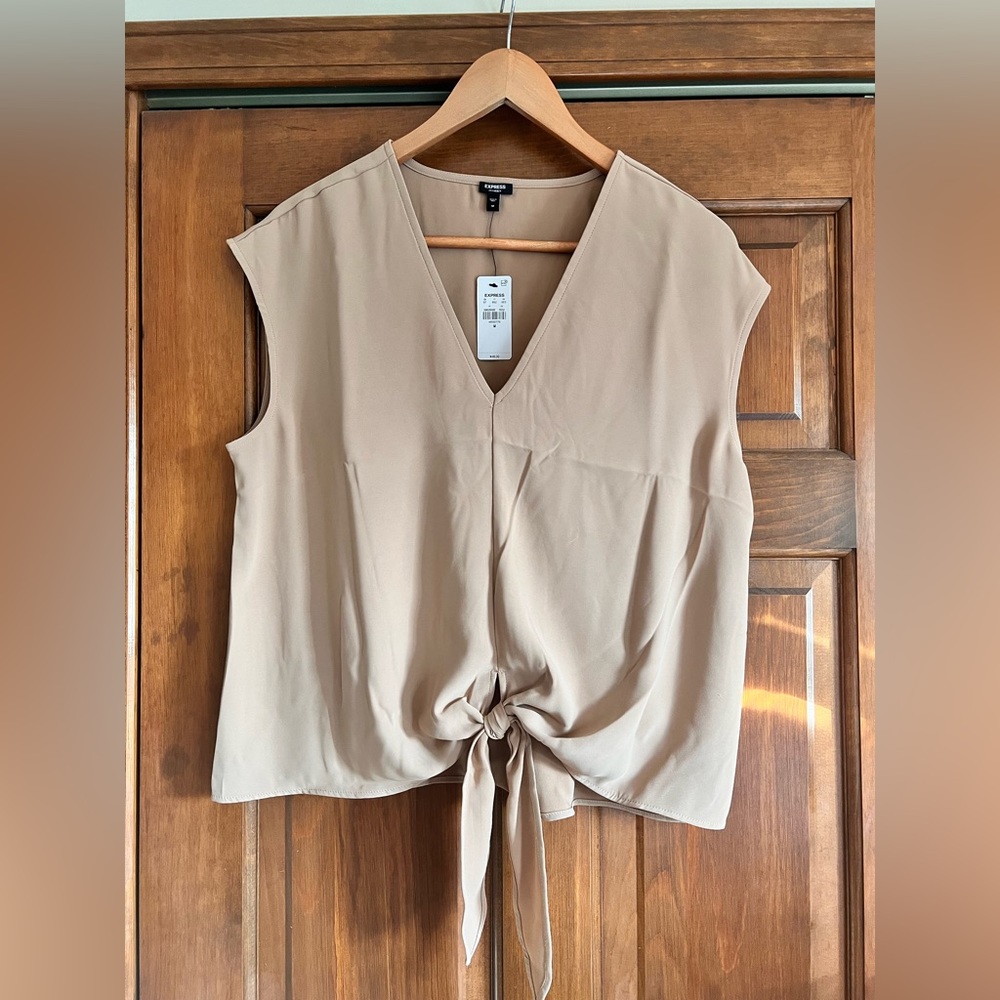 Express V-Neck Tie Blouse